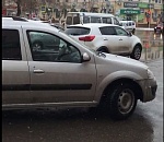 Фото дня: выход жизни на сушу