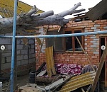 Под Астраханью упавшее дерево смяло дом и забор