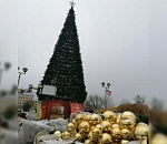 Фото дня: первая новогодняя ёлка в Астрахани