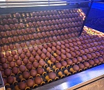 Астраханское правительство поможет птицефабрике «Владимировская» восстановиться после пожара