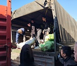 Десятки тонн астраханских овощей отправились на СВО