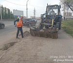 12 несанкционированных свалок только за сегодня ликвидировали астраханские коммунальщики
