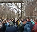 В Астрахани прошел второй за неделю митинг против бродячих собак