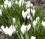 Астраханская погода в апреле