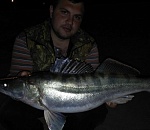 Астраханец похвастался своим судаком, выловленным на набережной