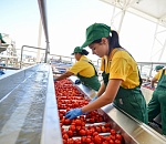 «Ростелеком» подключил по оптике комплекс «Астраханский»