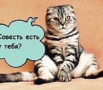 Будущее, которое уже наступило: ставим камеру, чтобы заботиться о дедушке и пугать кота через приложение