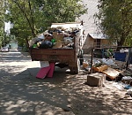 «Зеленый патруль» и ОНФ объявляют «охоту» на перевозчиков-нелегалов