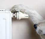 Жители центра Астрахани остались без горячей воды и отопления