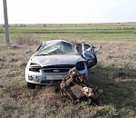 На астраханской трассе опрокинулась иномарка: водитель погиб