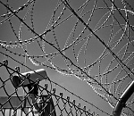 На двух сотрудников Росрыболовства в Астрахани завели уголовное дело