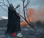 Спрос на осиновые колья от вампиров в России вырос в четыре раза