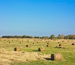 Не дельный обзор. Заждались туриста астраханские поля...