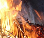 В Астраханской области неизвестные сожгли 300 рулонов сена у фермера