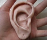 Астраханец откусил ухо своему сопернику во время драки