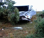 Под Астраханью "УАЗ" сбил корову: водитель госпитализирован