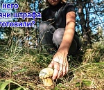 За красную шестерку ответишь: Астраханская область стала еще одним регионом, защищающим редкие грибы