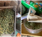 Астраханец насушил конопли лет на 10 колонии