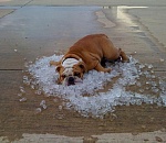 В ближайшие дни в Астрахани обещают жару выше 40 градусов