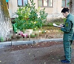 В Астраханской области ждет суд директора УК,  из-за чьей бездеятельности дерево убило пенсионерку