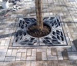 Деревья у Лебединого озера в Астрахани украшают приствольными решётками