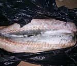 За провоз осетров и икры астраханского экс-инспектора ГИБДД наказали исправительными работами