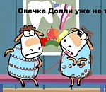 Кандидаты в губернаторы Астраханской области претендуют еще и на губернаторское кресло Мурманского региона