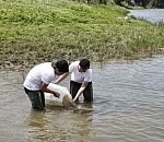Астраханские голубые патрули спасли уже 36 миллионов мальков