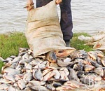 Под Астраханью мужчина купил у браконьеров 100 килограмм рыбы