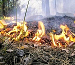 Лето начнется в Астрахани с высокой пожароопасности