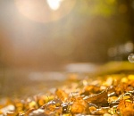 Синоптики обещают в Астрахани теплую погоду