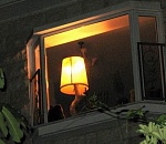 Более 30 улиц Астрахани останутся сегодня без света