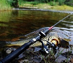 Рыбалка обернулась для астраханца жуткой неприятностью