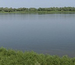 В Астраханской области без вести пропал мужчина