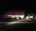 Под Астраханью иномарка влетела в припаркованный грузовик: пострадавший в больнице