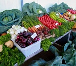 В День города астраханцев приглашают на большую сельскохозярмарку