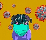 В Астрахани растёт число случаев заражения Covid-19, но коэффициент падает