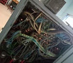 Житель Астраханской области заснял змеиный секс в электрощитке