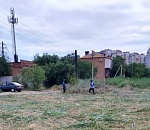 Астрахань избавили от миллиона квадратных метров сорняка