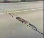 Астраханцы обеспокоены крупной трещиной на Мясокомбинатовском мосту