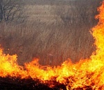 В Астрахани за сутки выгорело почти 300 "квадратов" камыша и мусора