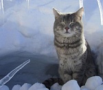 Завтра погода преподнесет астраханцам совсем не весенние сюрпризы