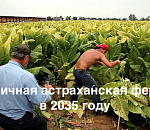 Не дельный обзор. Перейдут ли астраханцы на махорку?