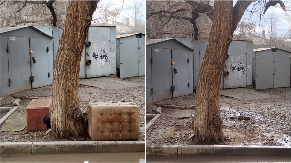 Астраханка оборудовала для покусавшей ребенка уличной собаки лежанку и кормушку