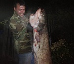 Астраханец поймал огромного сома