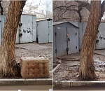 Астраханка оборудовала для покусавшей ребенка уличной собаки лежанку и кормушку