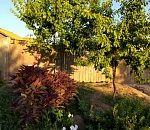 Марихуана на зиму: астраханка хранила наркотик в трехлитровой банке в холодильнике