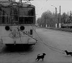 Троллейбусная загогулина