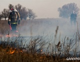 Активисты Гринпис потушили первые пожары в Астраханской области