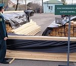 Астраханские таможенники пресекли вывоз из России стратегических лесоресурсов